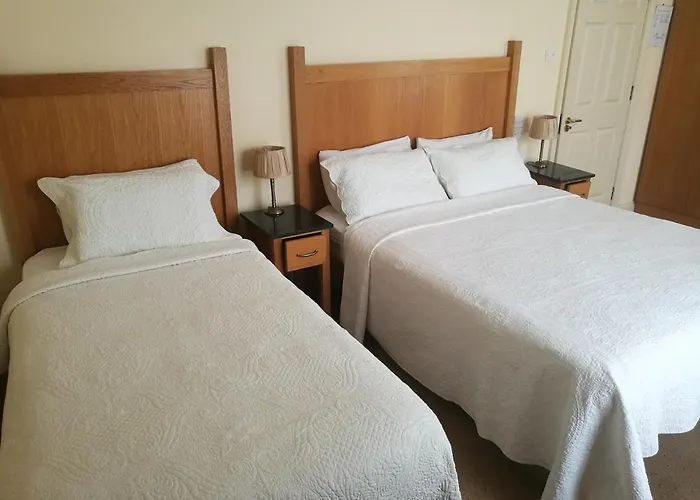 Killarney House Western Road 3* Корк