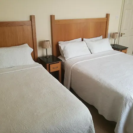 Killarney House Western Road 3* Корк