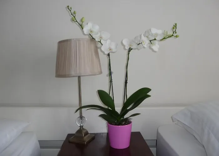 Killarney House Western Road Корк